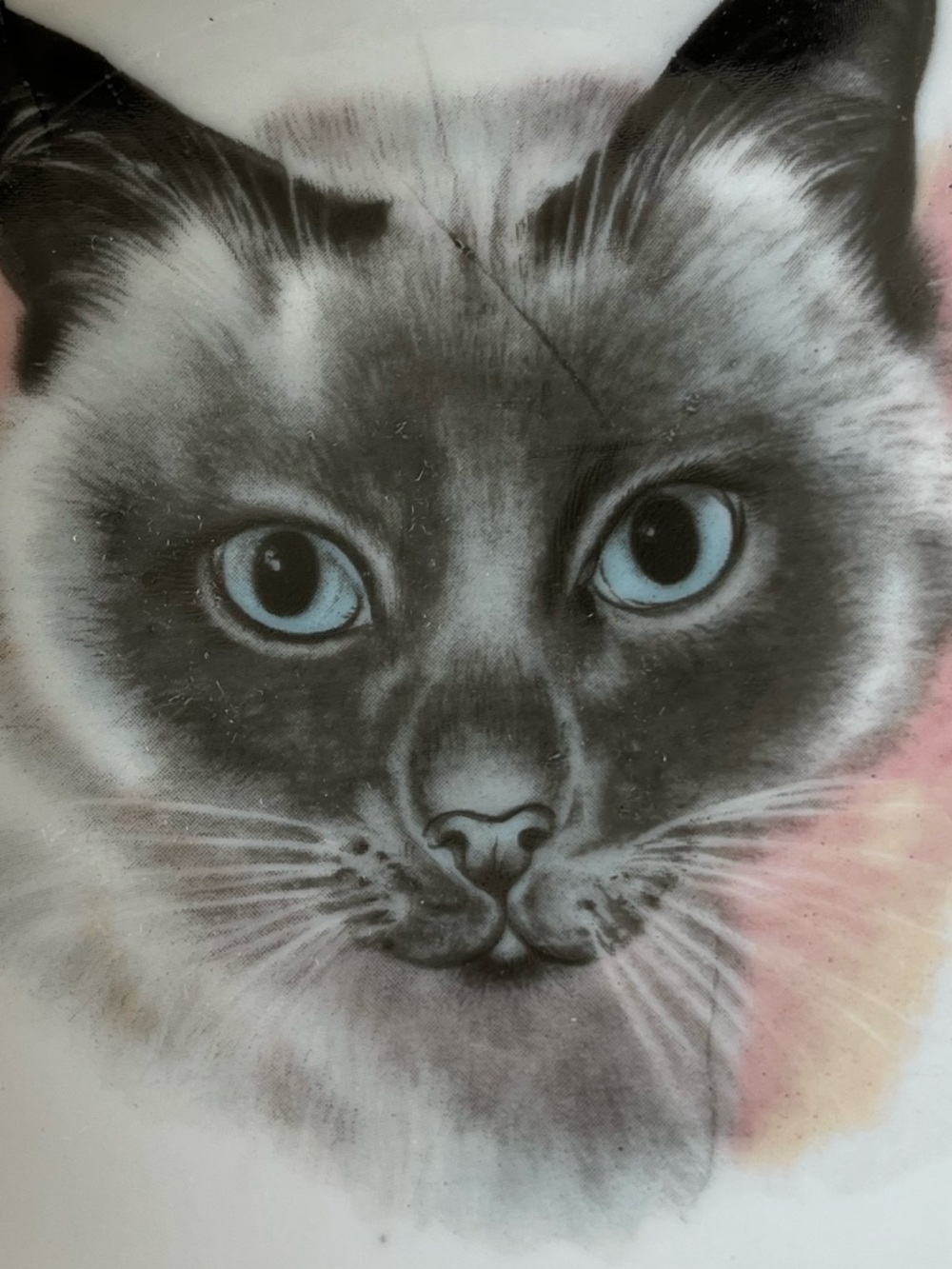 Vintage Siamese Cat Trinket Dish - Blue-Eyed Siamese Design by Chadwick - Japan - Picture 2 of 7